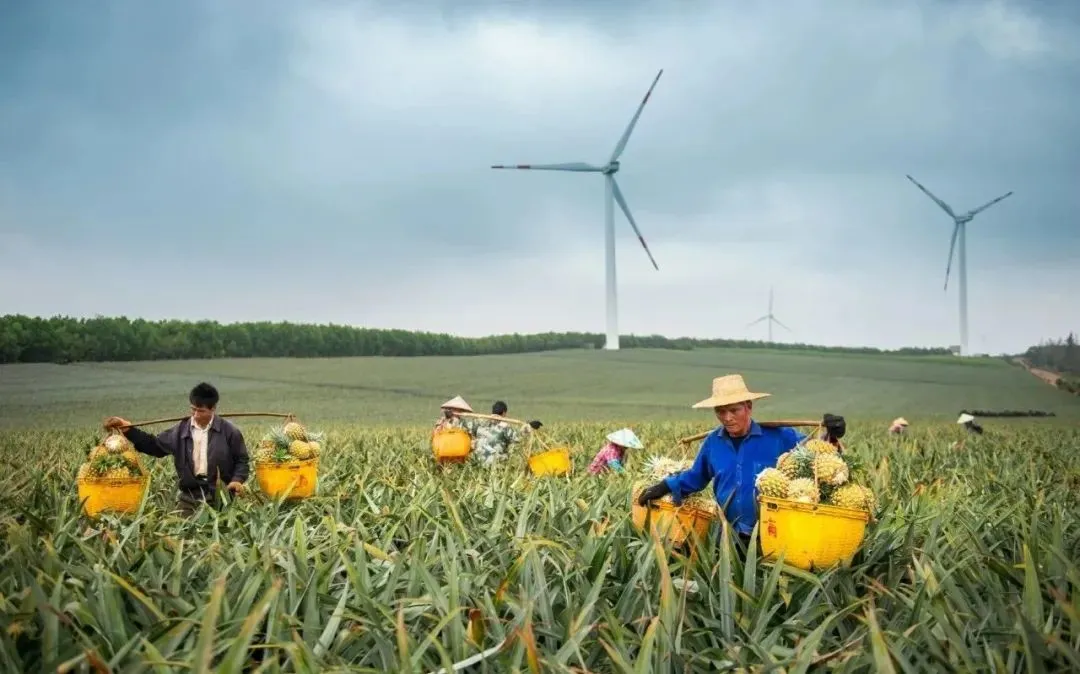 ddd7c15ee1e012c2fd976c0f61ae37ee-sz_105271 ddd7c15ee1e012c2fd976c0f61ae37ee-sz_105271