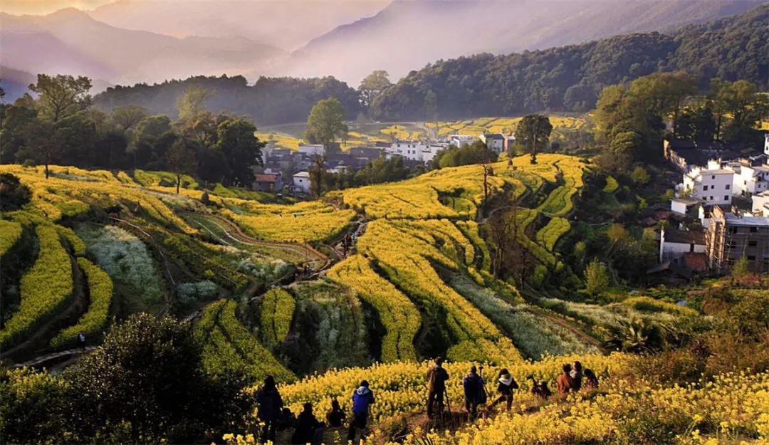 ddde12f48a6b49d5e4e38c4b2ffcbe01-sz_353476 ddde12f48a6b49d5e4e38c4b2ffcbe01-sz_353476