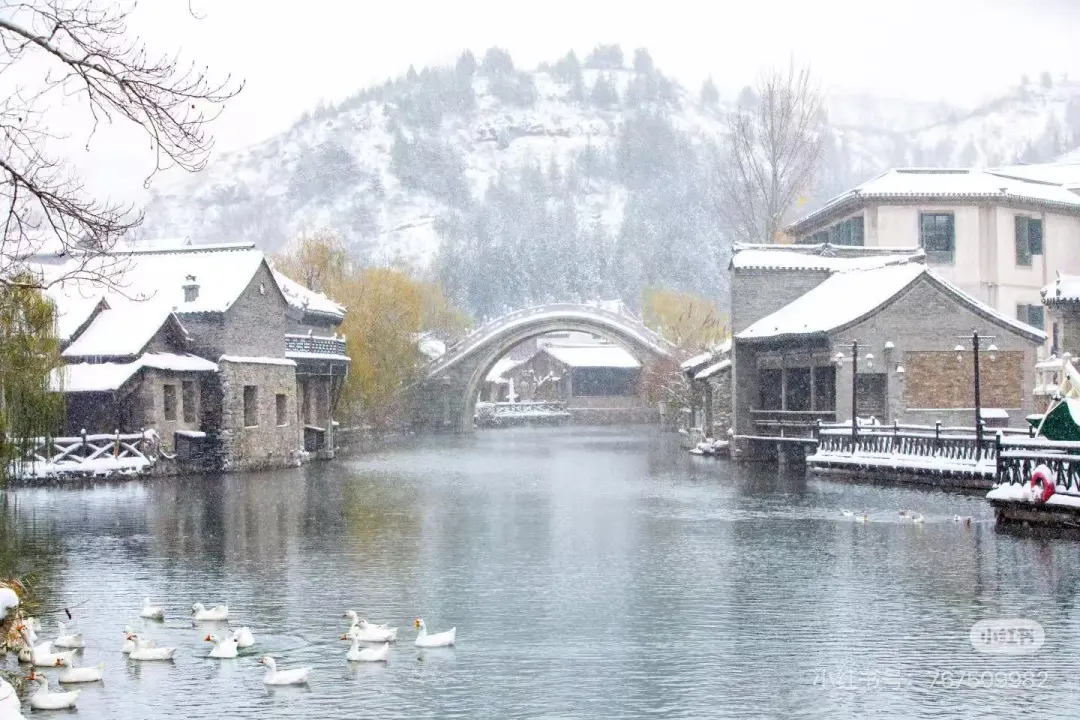 de3f6233fefd3f3e74576c4b07a19c05-sz_267362