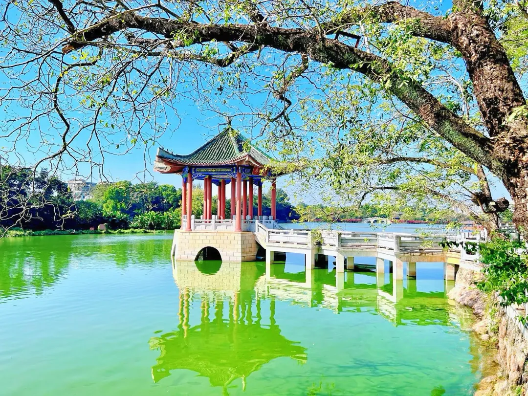 de5c74e008a01e816fabe6088c17b75e-sz_2959668-1