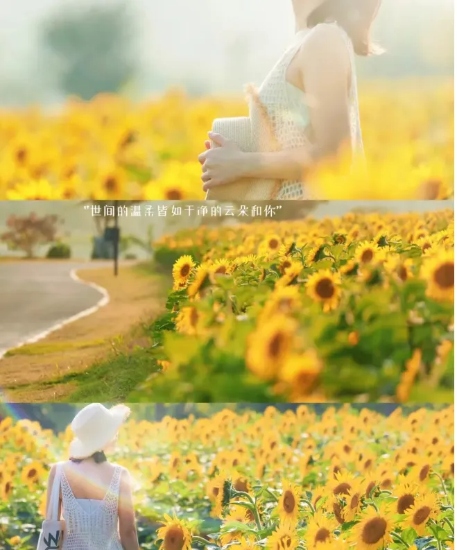 deaa2366b3ab7e457c09bd5d7b933856-sz_777100