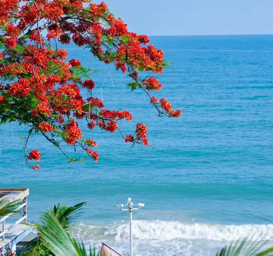 deb2fd41e8aee8a049d03100c11bc372-sz_1993427