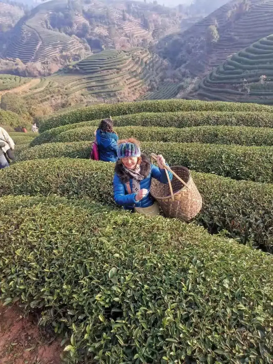 deb573078349cf3f4681111a9054c854-sz_1287538 deb573078349cf3f4681111a9054c854-sz_1287538