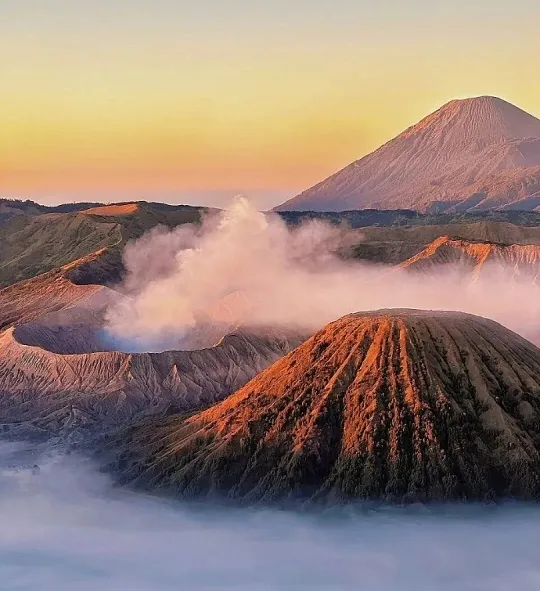 dec667e713c5101cb767eb2b38e0a77f-sz_475993-1 dec667e713c5101cb767eb2b38e0a77f-sz_475993-1