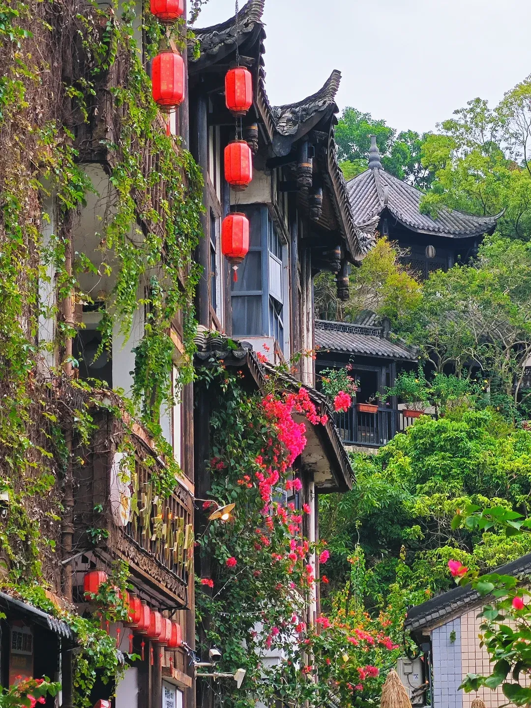 dec8dcee75ccff44cc7afa7671069deb-sz_3365250 dec8dcee75ccff44cc7afa7671069deb-sz_3365250