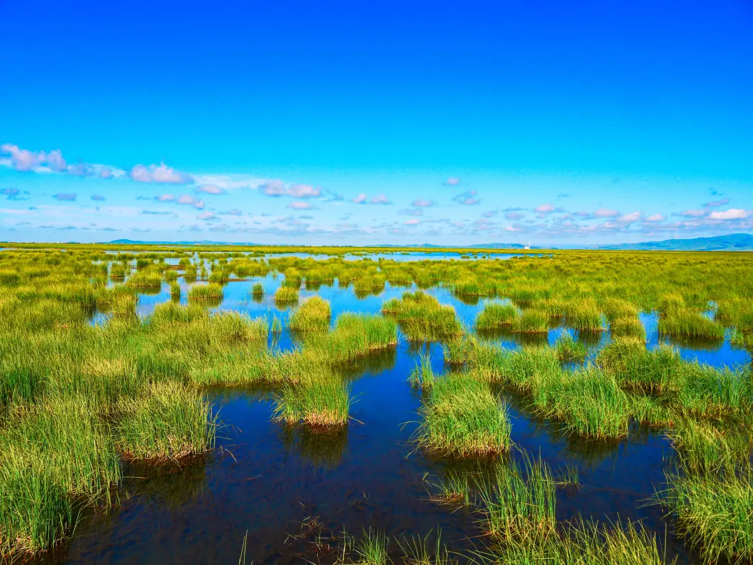 deccd572130b3d21e80ce88fc95bdf7a-sz_2768344 deccd572130b3d21e80ce88fc95bdf7a-sz_2768344