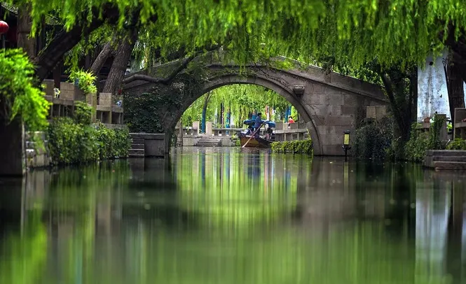 dee274468e6a2e61f26f3b13a1b67c85-sz_767369-1