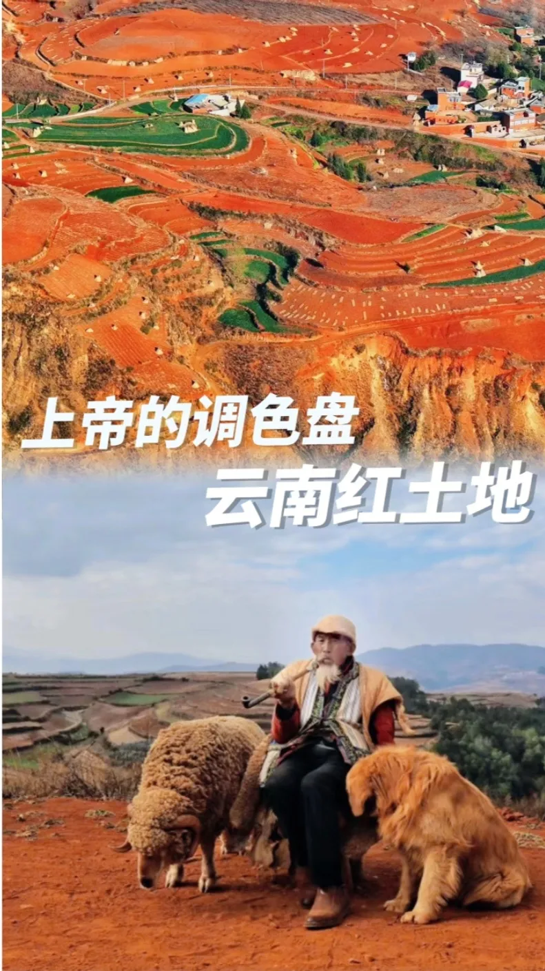 deef99e1e7e75e85a13c373257edec08-sz_448206