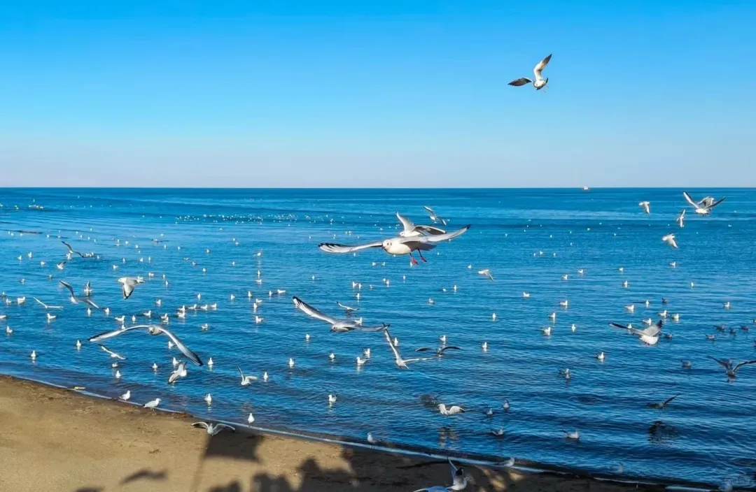 def2d8781d63202eba020c7d2c96fec7-sz_2170907 def2d8781d63202eba020c7d2c96fec7-sz_2170907