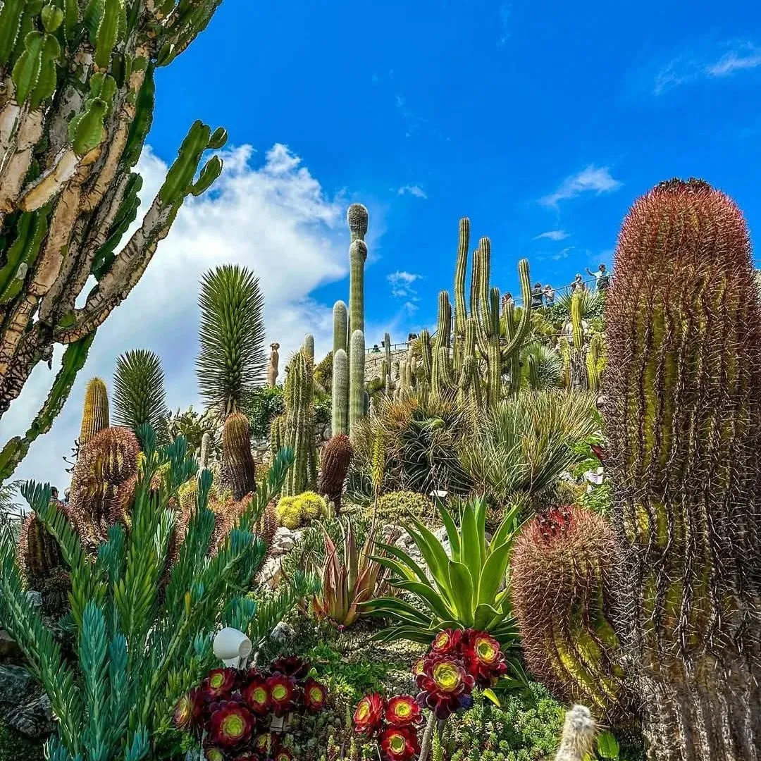 def7698096af8259d0fc596a10bef1cc-sz_531775