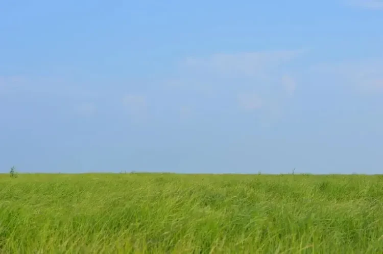 defb081e8854d0f3ed8c0b35a8c84c28-sz_46503