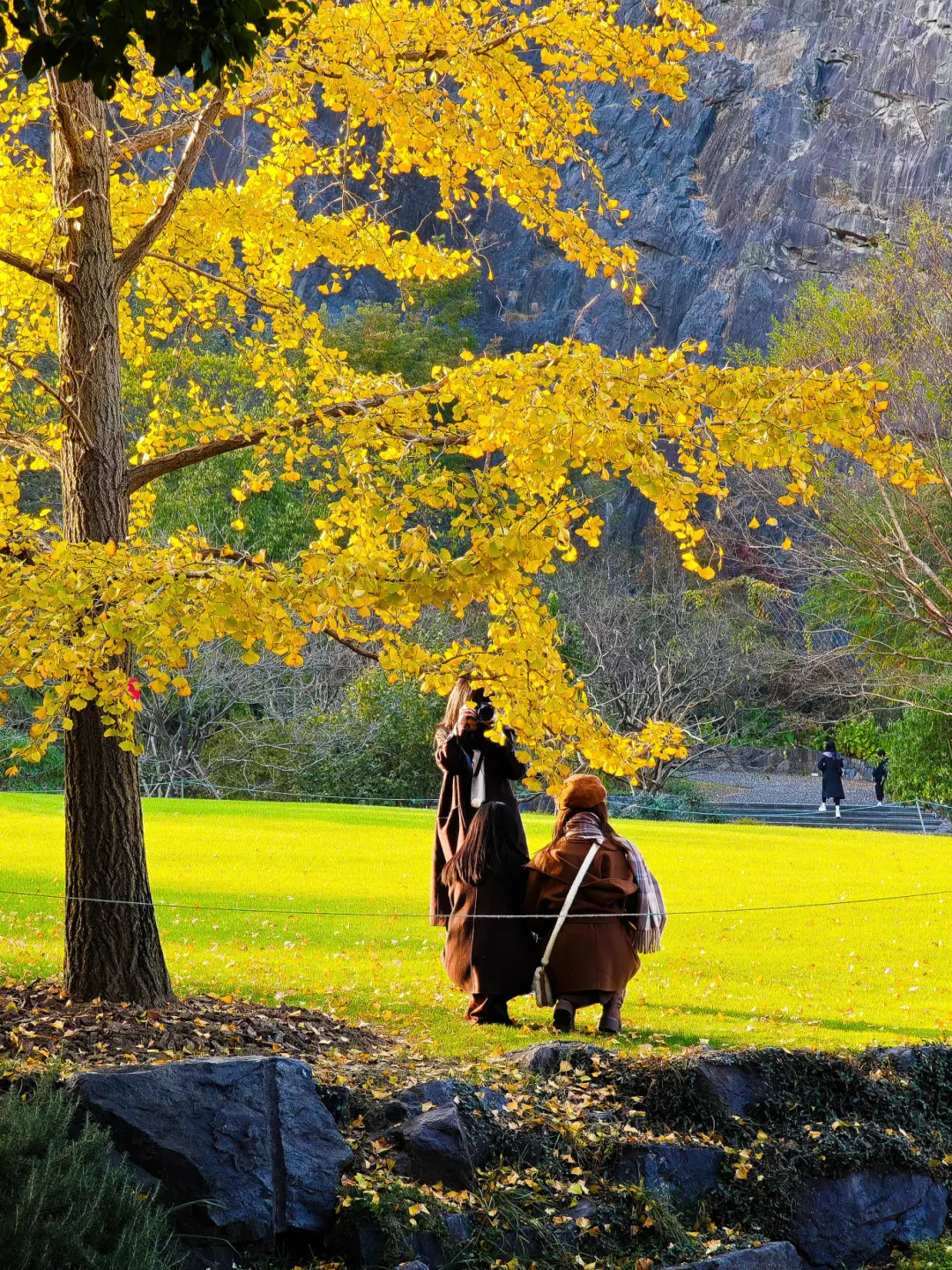 defe71c21fd30bbe62a568fcece42341-sz_1175074