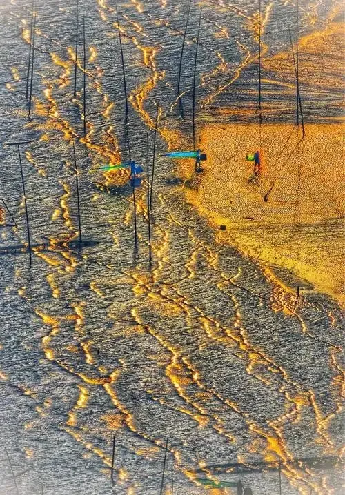 df201ec78be4ad601c737635d70da86f-sz_217687