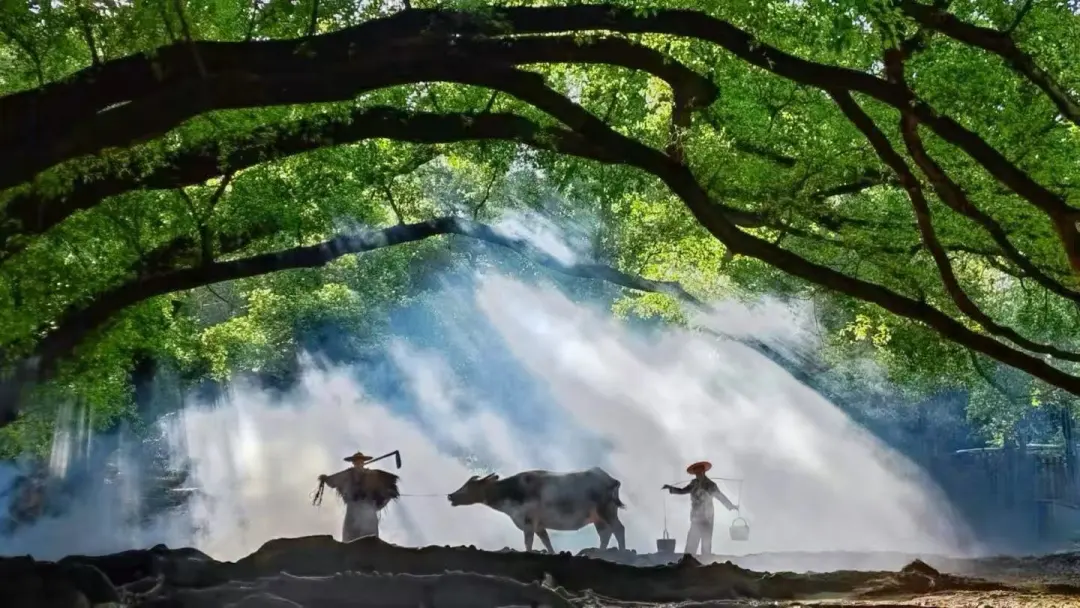 df2c9e5aac651795482d6fd250abb575-sz_193601