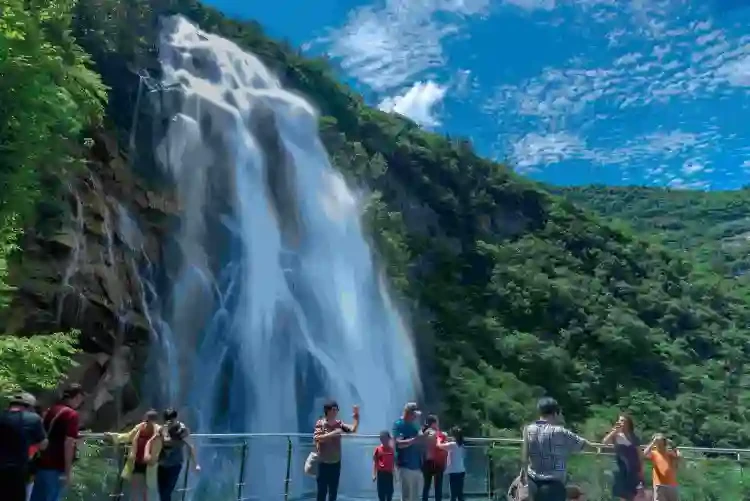 dfbb56c13a335296a4656918db17d81a-sz_554601 dfbb56c13a335296a4656918db17d81a-sz_554601