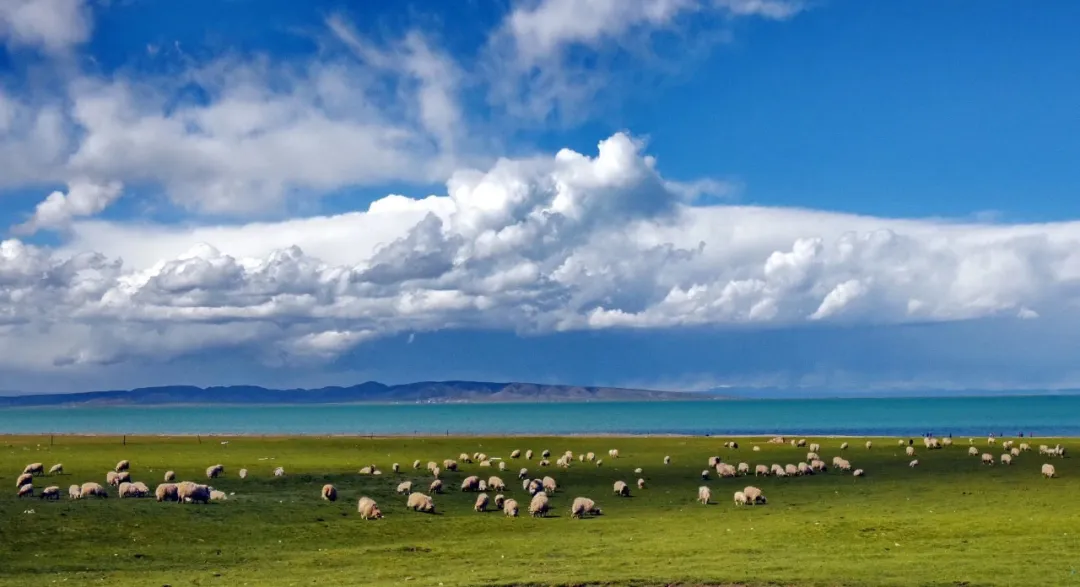 e002c44a45bf733d011d00c1b705f647-sz_239058 e002c44a45bf733d011d00c1b705f647-sz_239058