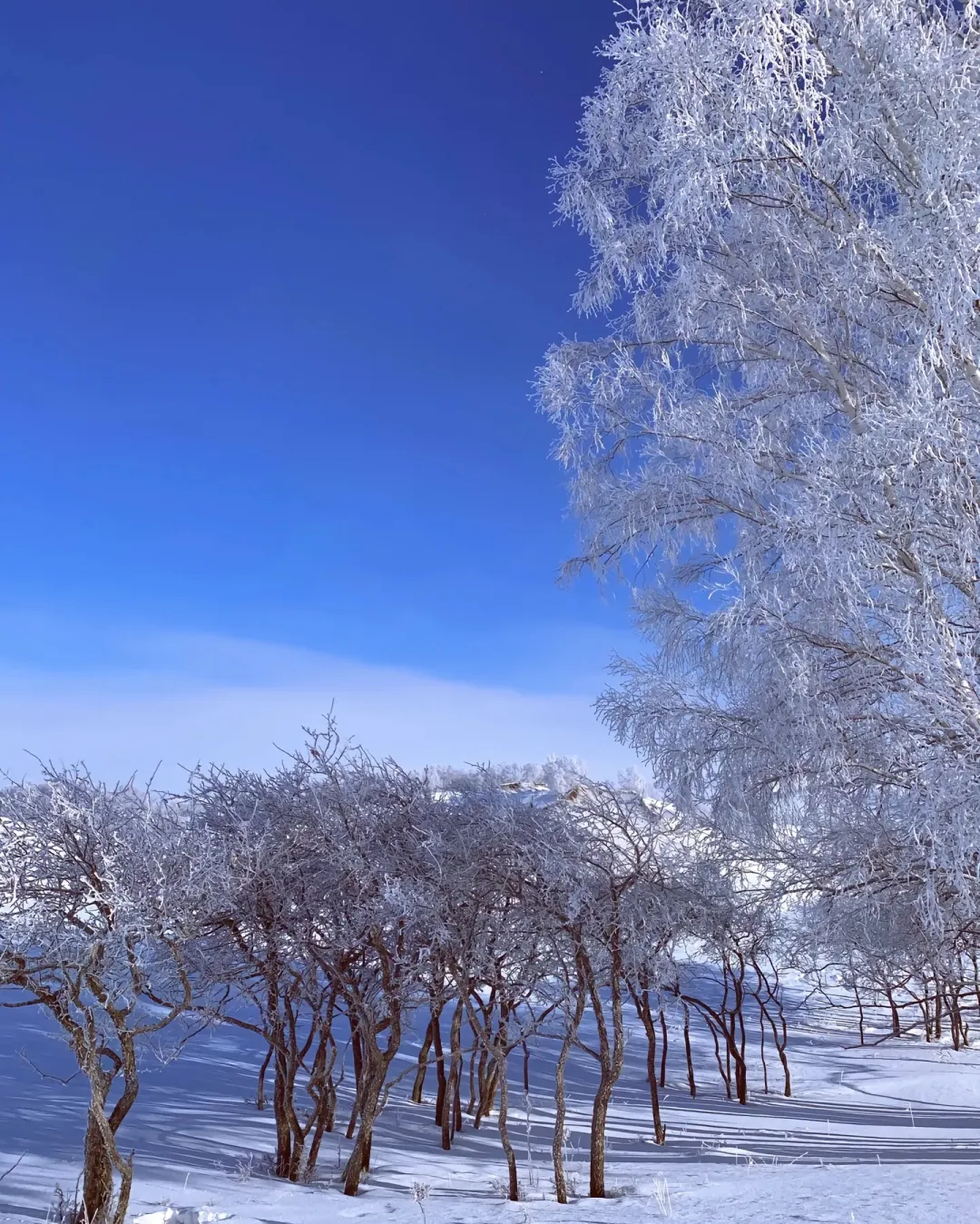 e02132b021724ef079176cc20f37e19f-sz_942092