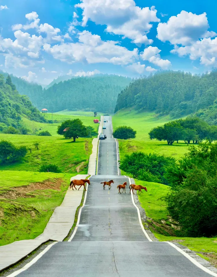 e02aa39025fb5c210d62fdc0a644df5d-sz_1173804 e02aa39025fb5c210d62fdc0a644df5d-sz_1173804