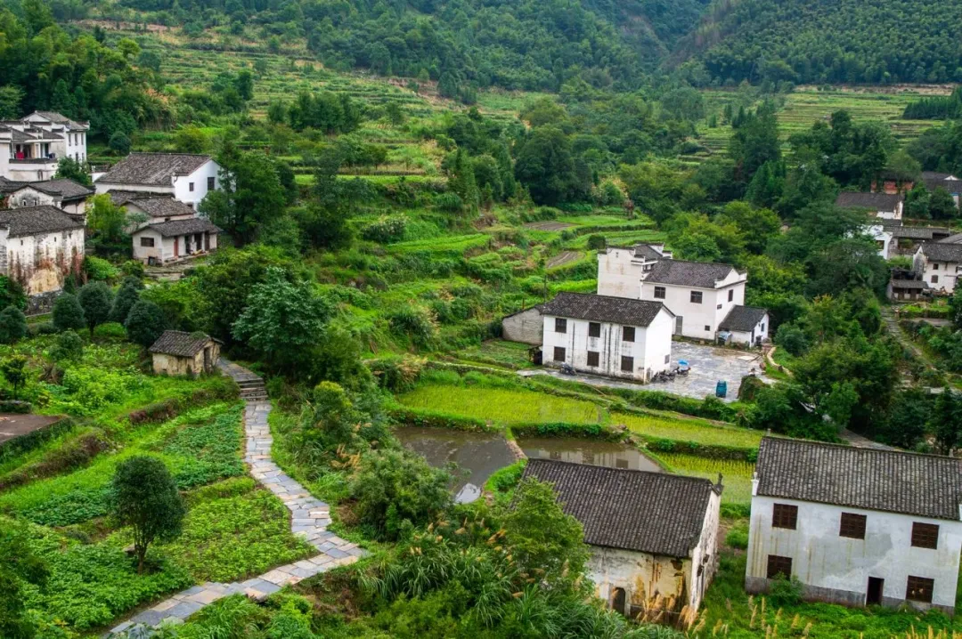 e074e6b9b4936563b85cb525715afc51-sz_330874