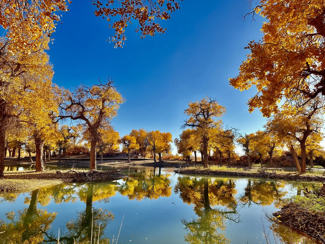 e0f6dd4a644987bfd44982d02a741e05-sz_11208414-2 e0f6dd4a644987bfd44982d02a741e05-sz_11208414-2