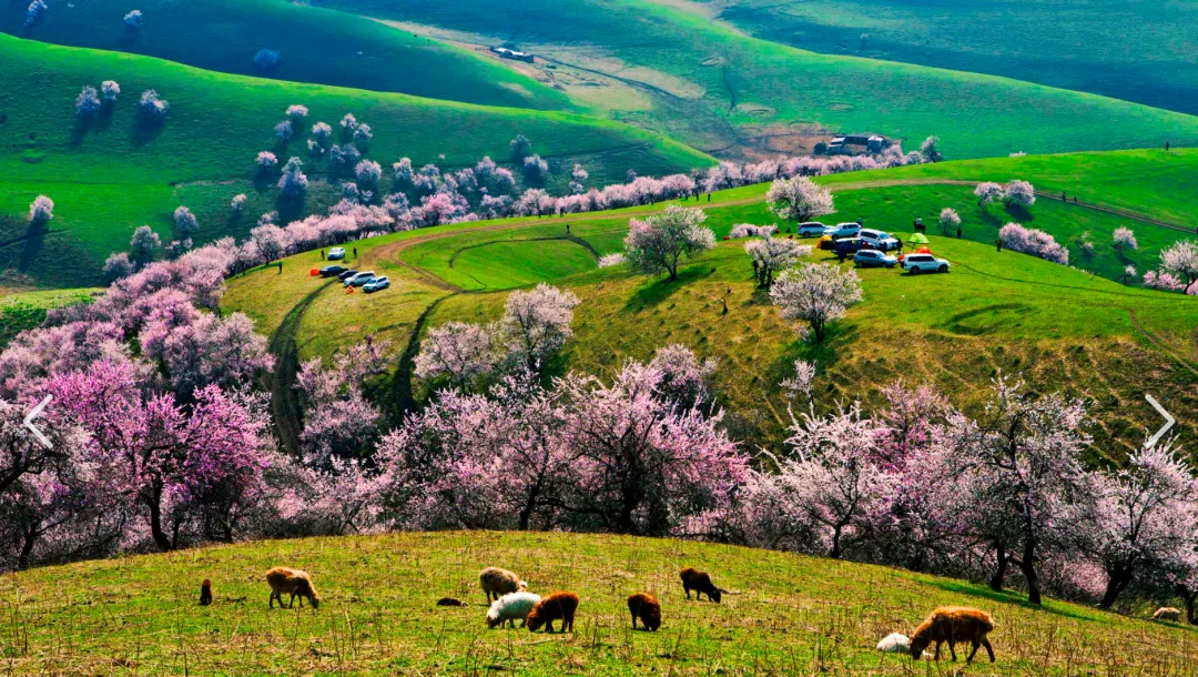 e11ea10b4dd01545c2b95da7c33a5449-sz_5527435 e11ea10b4dd01545c2b95da7c33a5449-sz_5527435