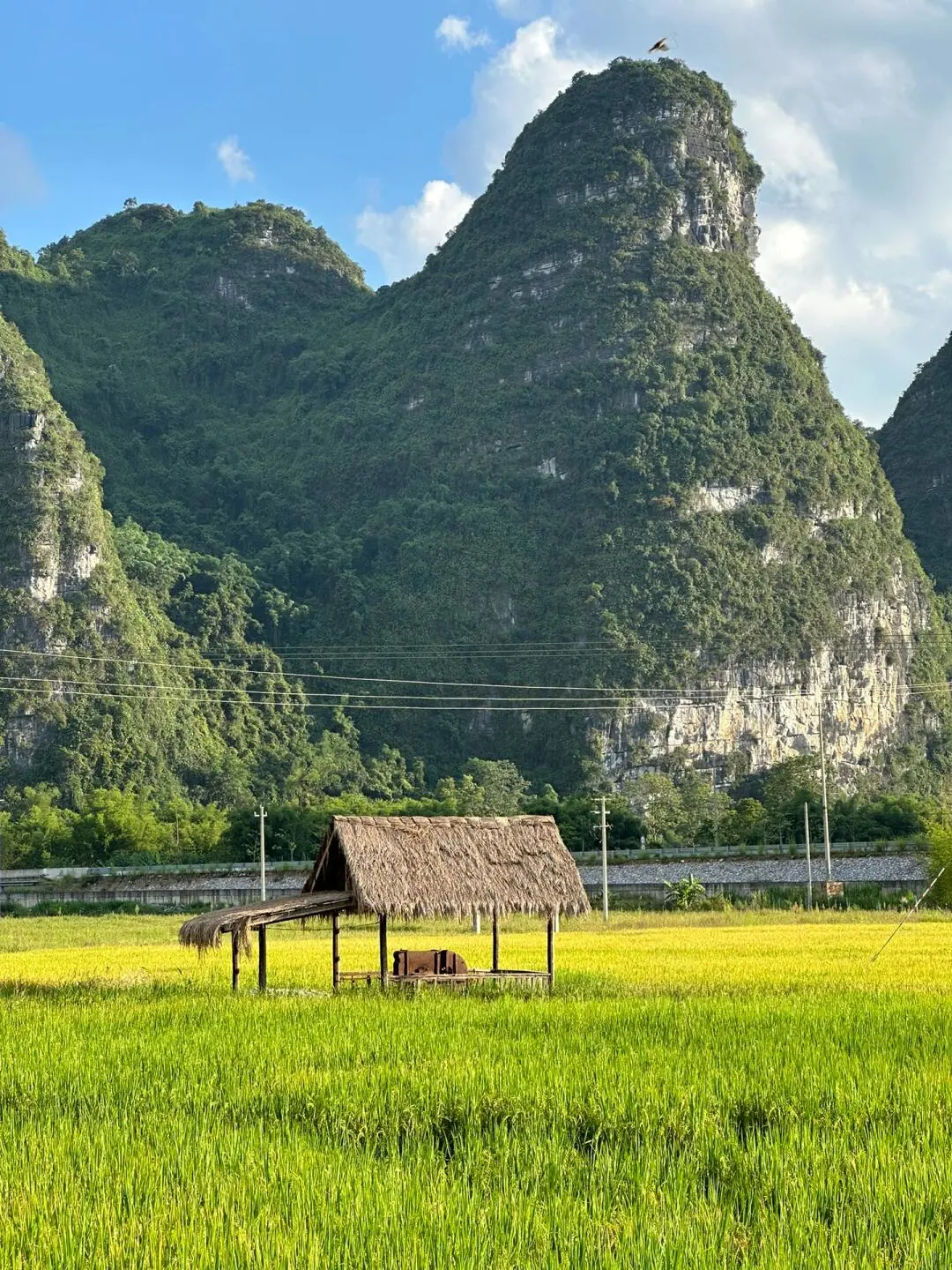 e14861d49e06e32fc6f35debdf9b869c-sz_390114 e14861d49e06e32fc6f35debdf9b869c-sz_390114