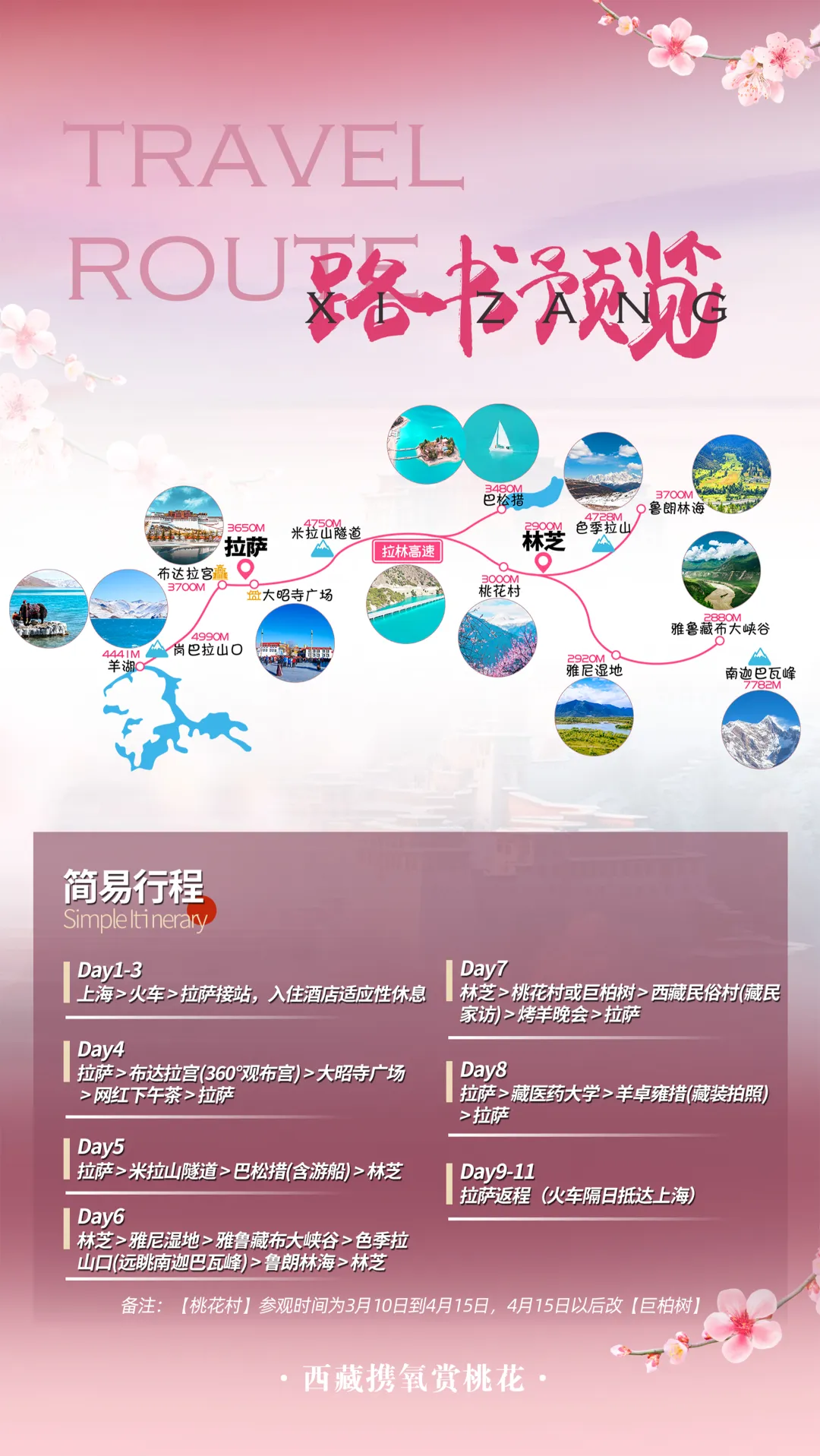 e14ae8256415adce48084c40b220f455-sz_2598176