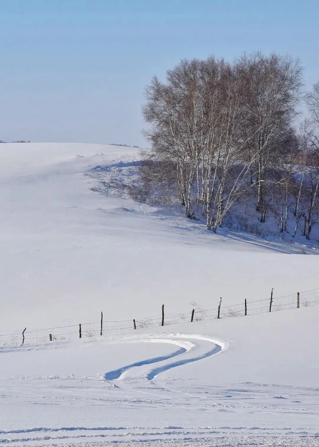 e14e4ead81b46d3be2702c18e94c83db-sz_516805