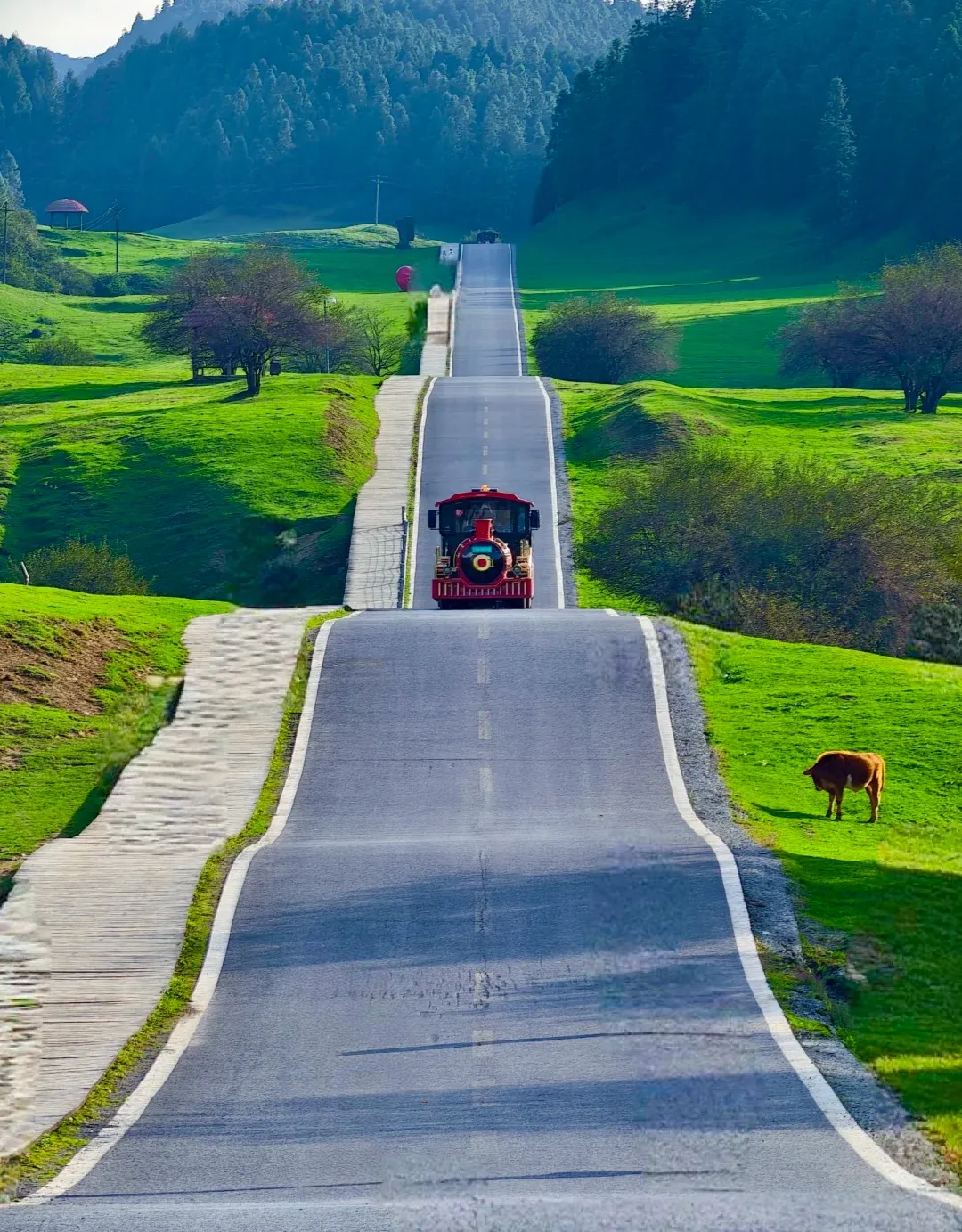 e16deeb637ccef0720ced9db97abee78-sz_501317 e16deeb637ccef0720ced9db97abee78-sz_501317