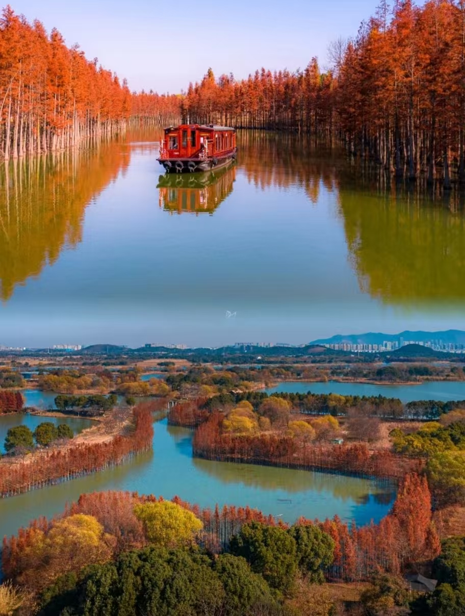 e1708bd1747ab6254866a483856f8c06