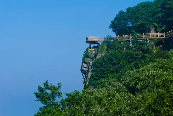 e179b01f43501c526299eadc8bbff2d9-sz_556305