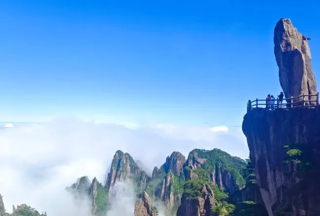 e1a552a589187291536946c37dc192bf-sz_298535 e1a552a589187291536946c37dc192bf-sz_298535