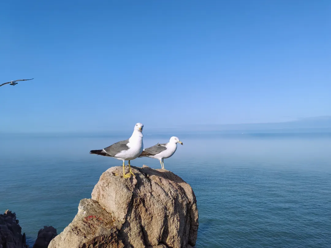 e1d129d0022207483bb9768717e1bdd7-sz_850094