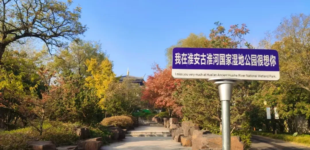 e203f2d637d30387675d2a090c7ca010-sz_777739