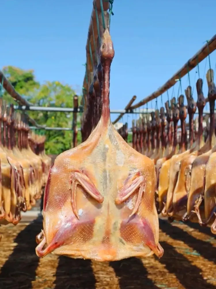 e22151a4c678b835e885a125ea0100f3-sz_194981