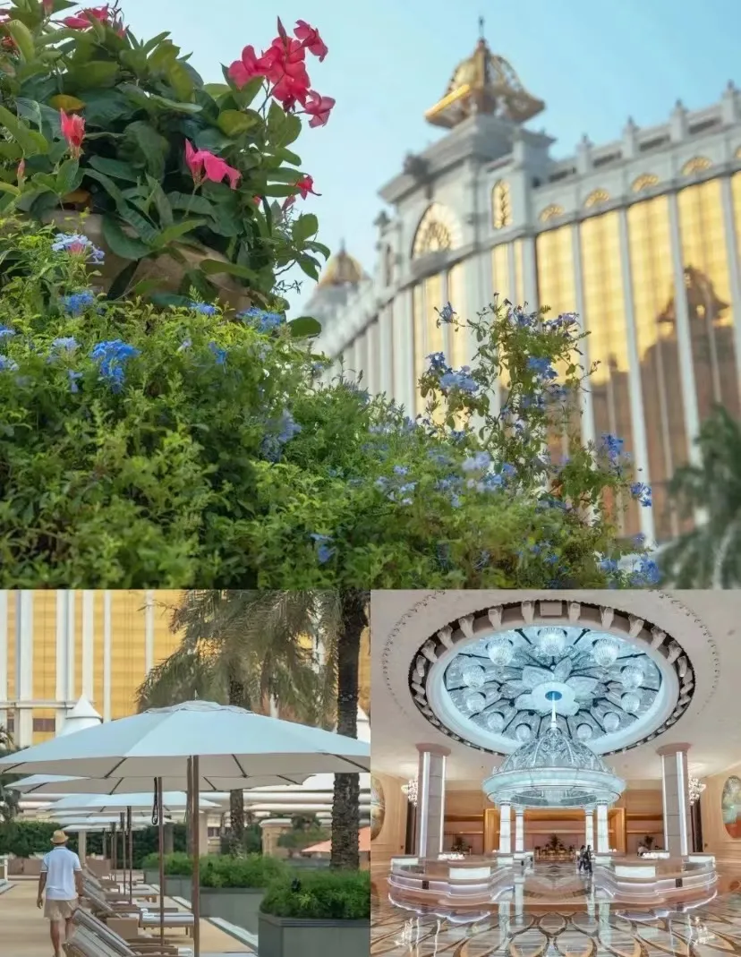 e2249ae4b2bd46ed20111fa4242cea8b-sz_268938