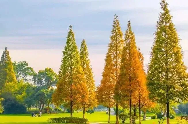 e242c05a0299644b4923c317f050bf67-sz_74706 e242c05a0299644b4923c317f050bf67-sz_74706