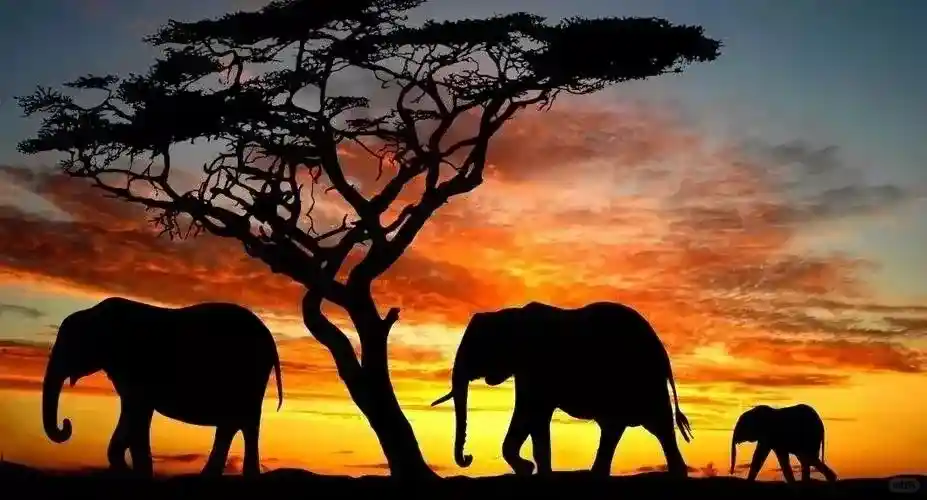 e24f1f40e375852c485badd5504e04e4