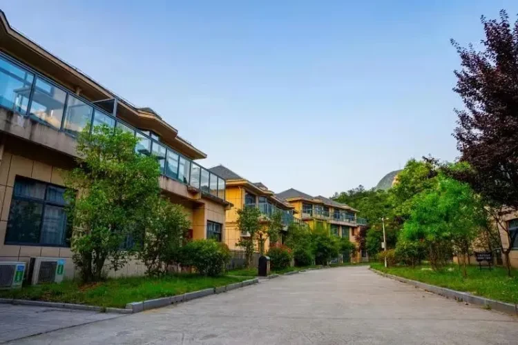 e2b539a06fe7c0cb4ff9f8a43923b8f4-sz_79051 e2b539a06fe7c0cb4ff9f8a43923b8f4-sz_79051