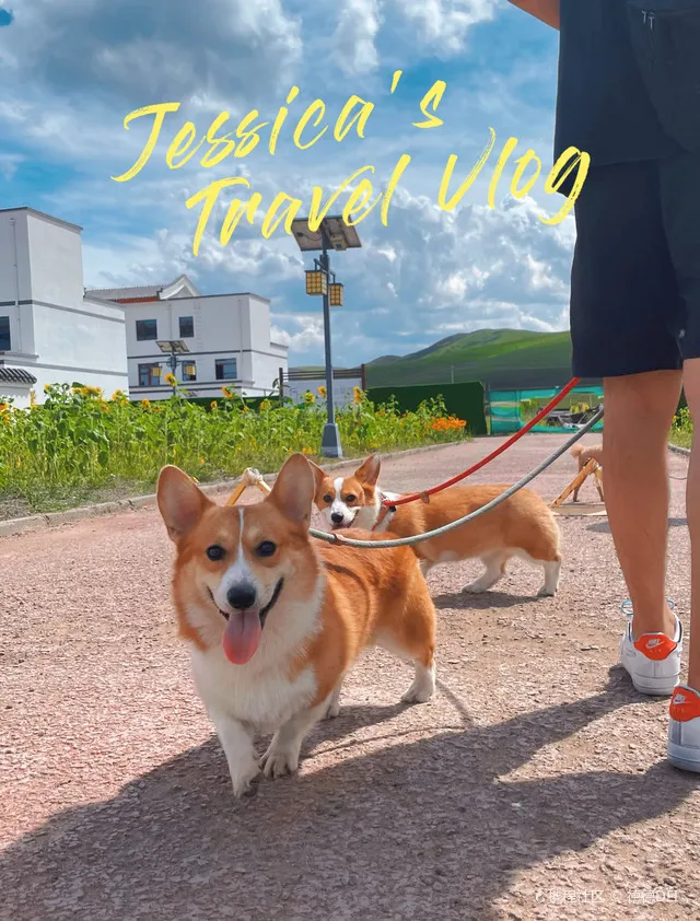 e2df0c2515b1108f9e21894e3cfda933-sz_217195 e2df0c2515b1108f9e21894e3cfda933-sz_217195