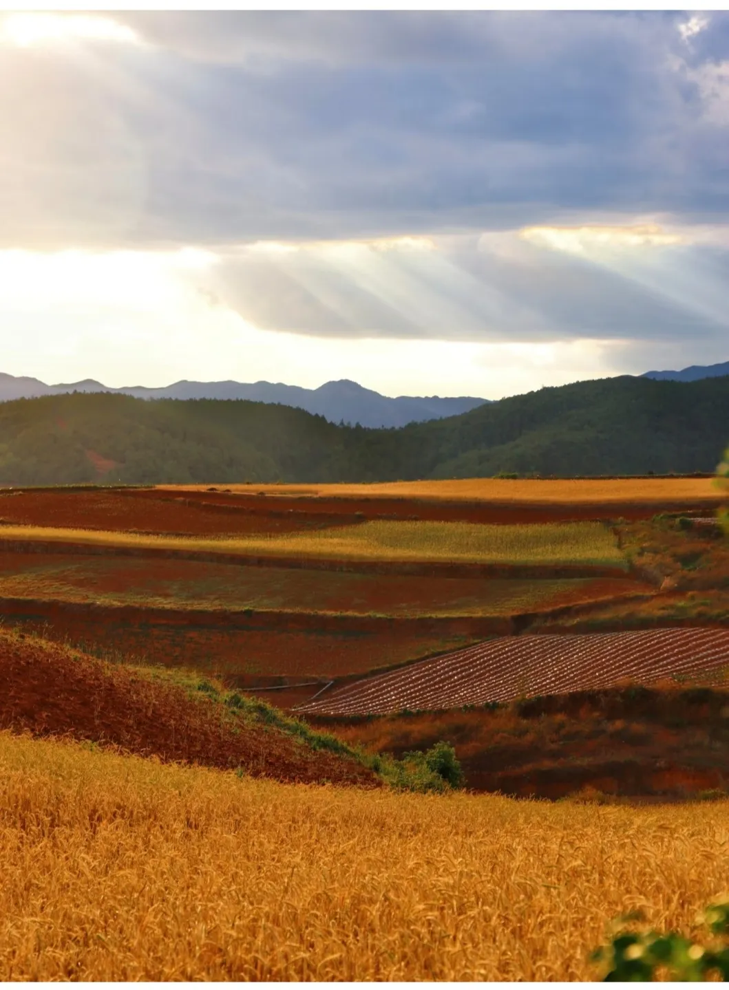 e2f93ccd68016821fc48ba774b59703a-sz_441412