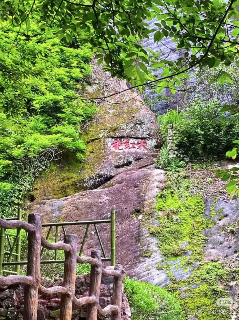 e30b2808dd0e1b7e94a63b8cc2071d69-sz_2950112 e30b2808dd0e1b7e94a63b8cc2071d69-sz_2950112