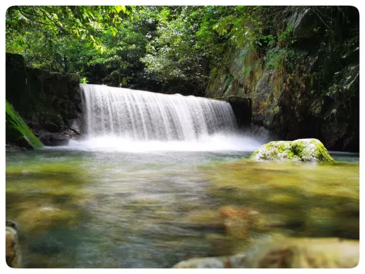 e3130ec5c08b87d78c22a55e2b1bc916-sz_162443