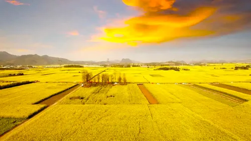 e324b81bbe5eea4656d847dd30bee3b6-sz_245365