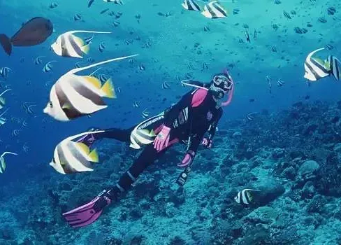 e35750dd01a8ab7691ff831bcc1157c1-sz_559412 e35750dd01a8ab7691ff831bcc1157c1-sz_559412