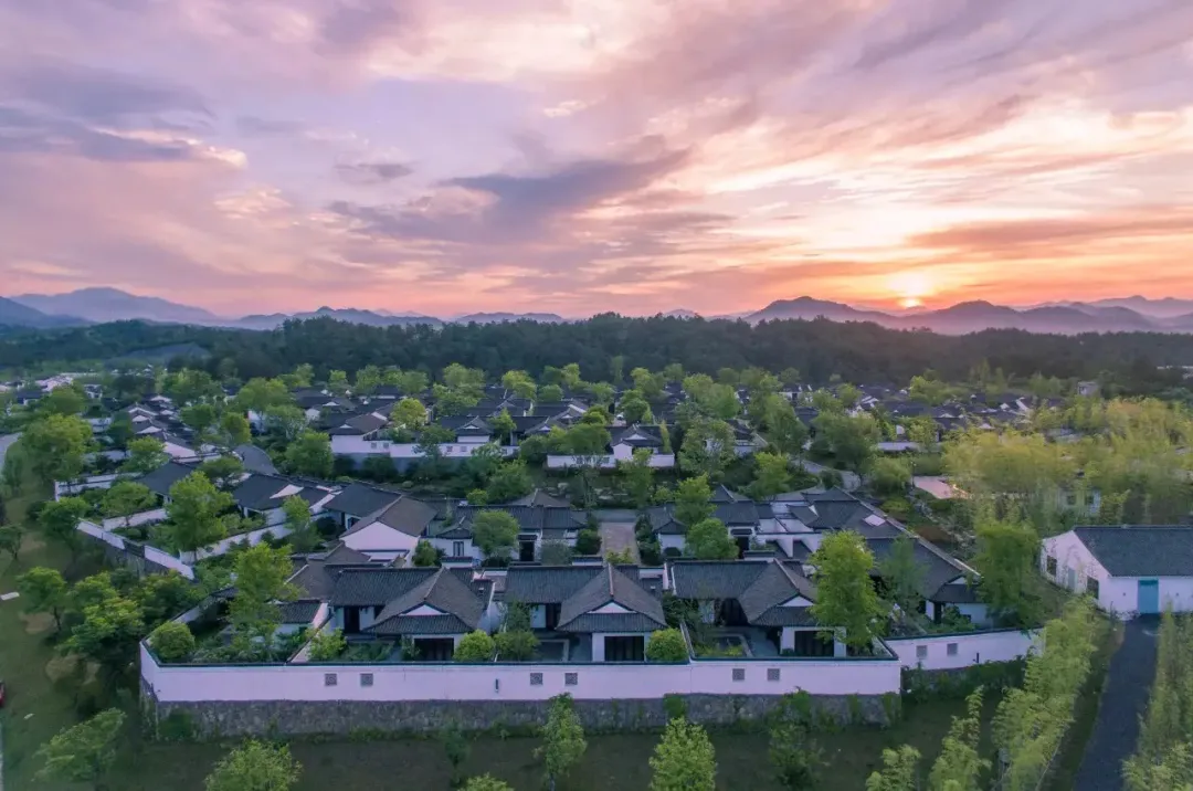 e35da680e527fe8b860c0c48a9279475-sz_546850-1