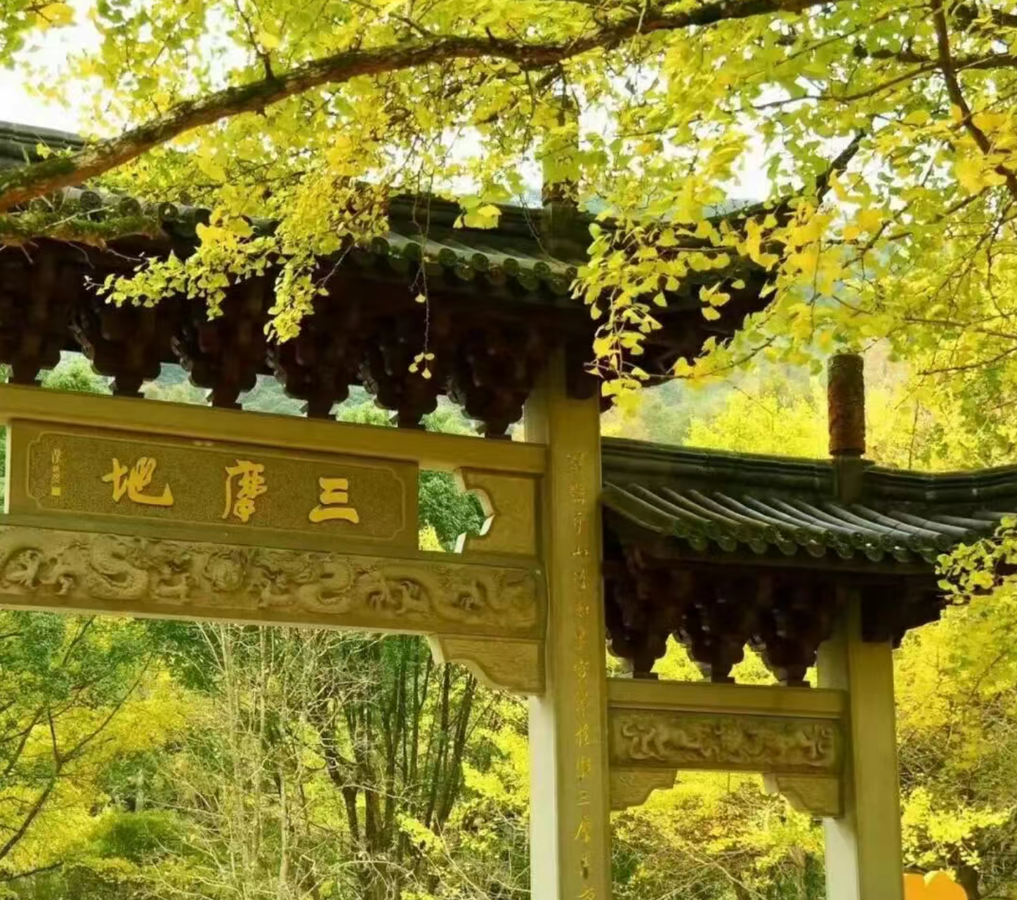 e397c789474ee91e5e98413ed9113751