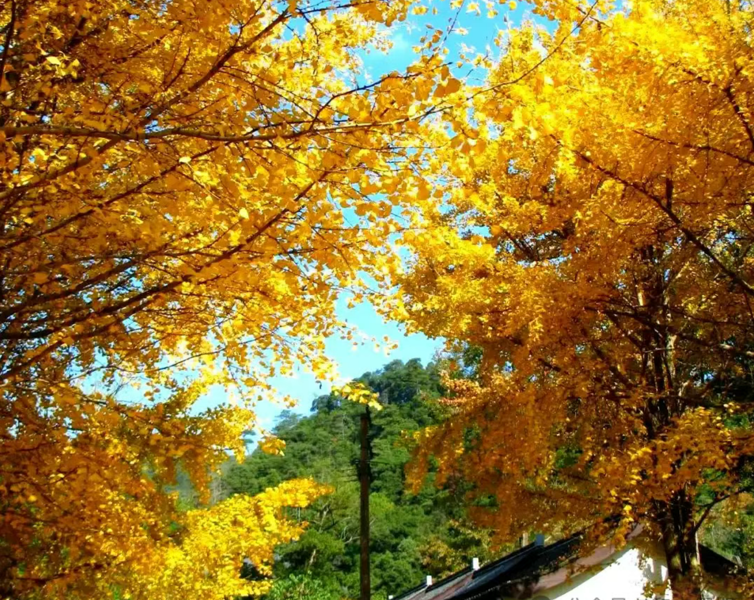 e398e4fb3beab93003b5e6071375a736