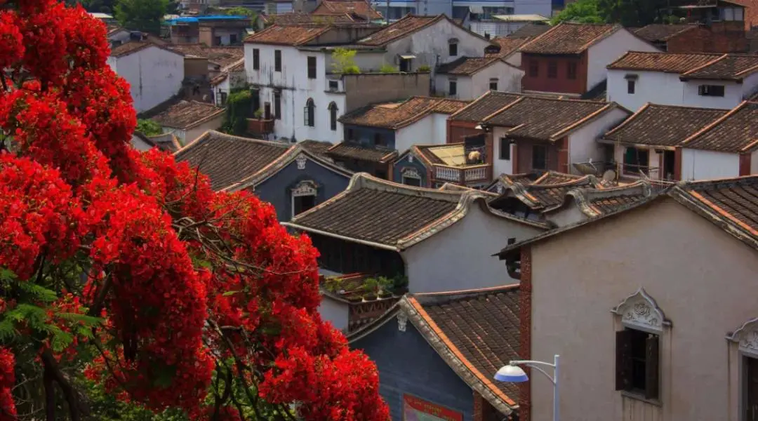 e3ab6b71f03f93e268bdd84ea3aa52c6-sz_110770 e3ab6b71f03f93e268bdd84ea3aa52c6-sz_110770