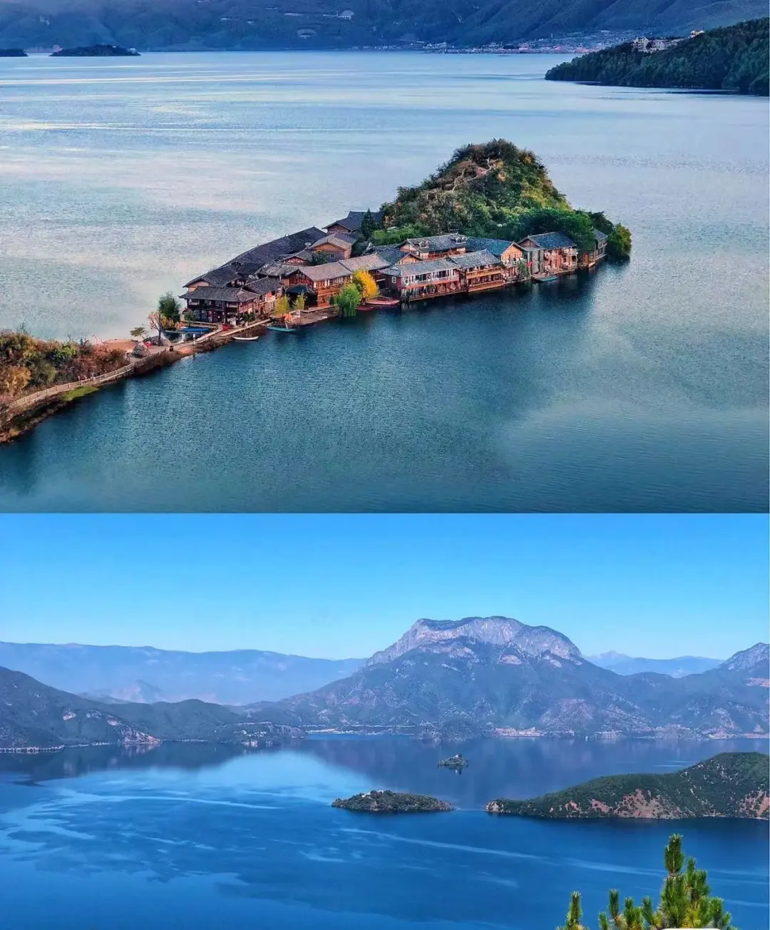 e3bd7357c3908ce019990faace3b2101-sz_286496-1